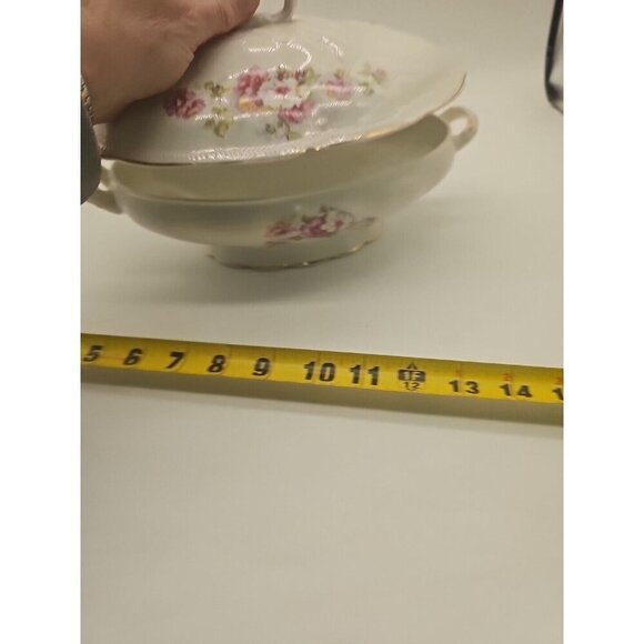 Romantic Vintage Covered Vegetable Dish - Owen Miverva Gold Medal St. Louis flaw - Picture 9 of 9